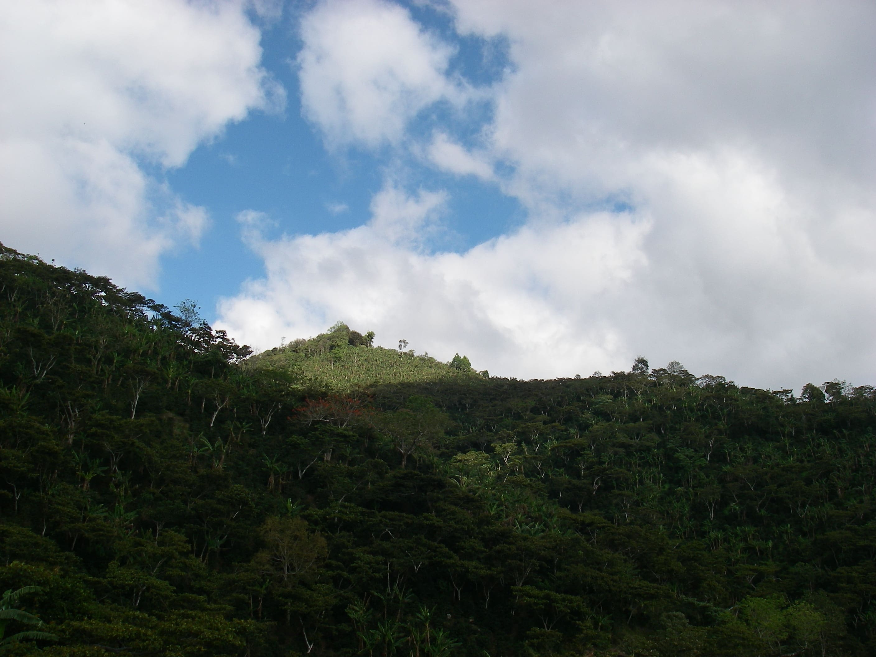 Familia Lovo - Atlas Coffee Importers