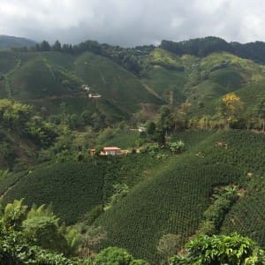 Colombia Quindio